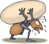 ant-44588_640.png