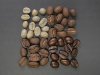 coffee-beans-1082116_640.jpg