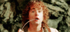 pippin 2.gif