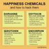Happiness-Chemicals-and-how-to-hack-them.jpg