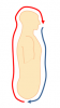 microcosmic.png