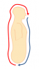 images.png