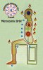 microcosmic-orbit_small.jpg