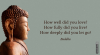 upload_2021-9-7_16-39-38.png