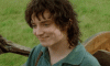 frodo 3.gif