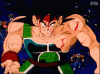 upload_2024-4-7_1-31-11.gif
