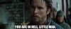 upload_2024-6-3_0-19-0.gif