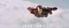 upload_2024-7-4_4-24-42.gif