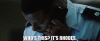 upload_2024-7-4_4-25-14.gif