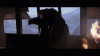 upload_2024-7-4_10-35-19.gif