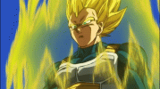 IMG_8639.gif