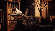 IMG_0128.gif