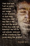 IMG_0301.jpeg