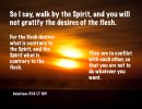 galatians-5_16-17-f600_01-dscf2911-walk-spirit-not-desires-flesh.jpg