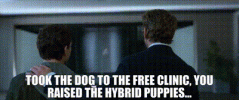 1751937334240.gif