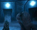 1751942800284.gif