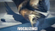 1751942840930.gif