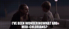 1752403952707.gif