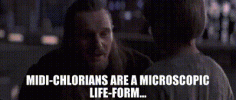 1752403978630.gif