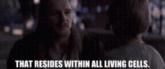 1752404033172.gif