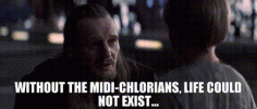 1752404176463.gif