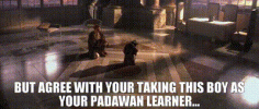 1752774763743.gif