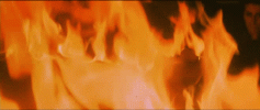 1752853819337.gif