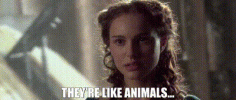 1753398908423.gif
