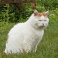 2468