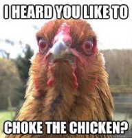 Choke My Chicken