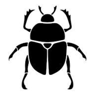 Scarab Beetle