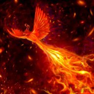 fire.bird