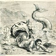 Foxipilgrim