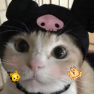 CuddlyWuddly