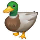 FC_Duck88
