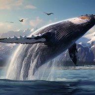 InvisibleBlueWhale