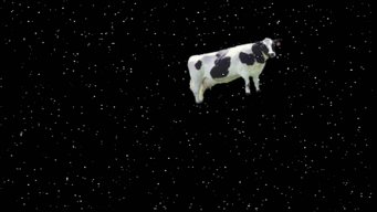 SpaceCow