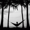 recovery hammock