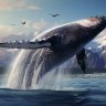 InvisibleBlueWhale