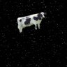 SpaceCow