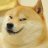 Dodging Doge