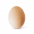 A Random Egg