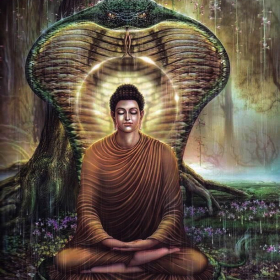 Buddhist Fapstronauts